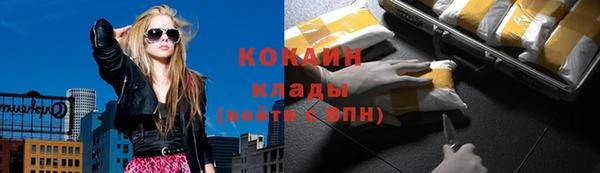 молекула духа Краснослободск