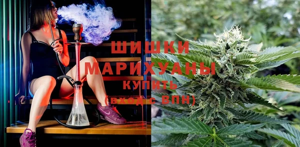 стафф Куйбышев