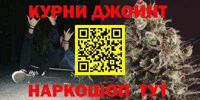 сатива Будённовск
