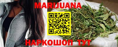сатива Будённовск