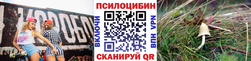 Галлюциногенные грибы Psilocybe Красноармейск