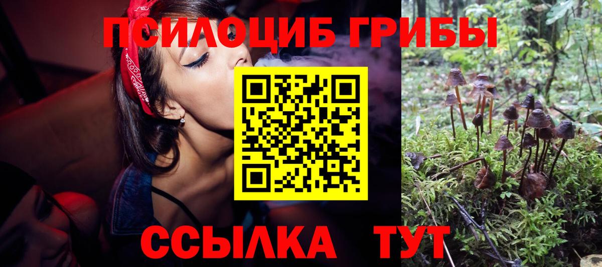 Красноармейск  Псилоцибиновые грибы MAGIC MUSHROOMS  Вход с VPN 